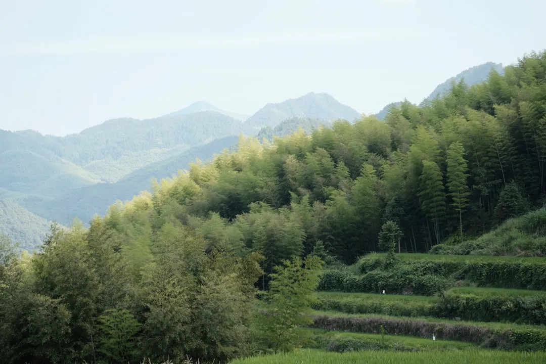 2025电子测量仪器仪表行业技术标准更新要点解析